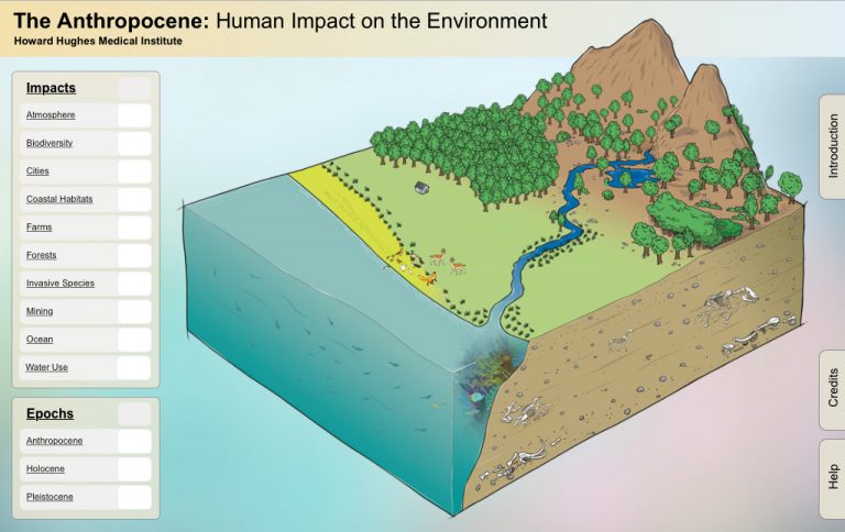 The Anthropocene: Human Impact on the Environment – Astronaut 3 Media Group