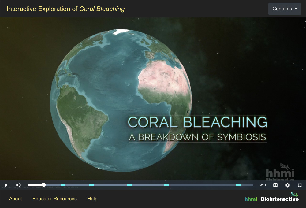 Coral Bleaching interactive screenshot 1