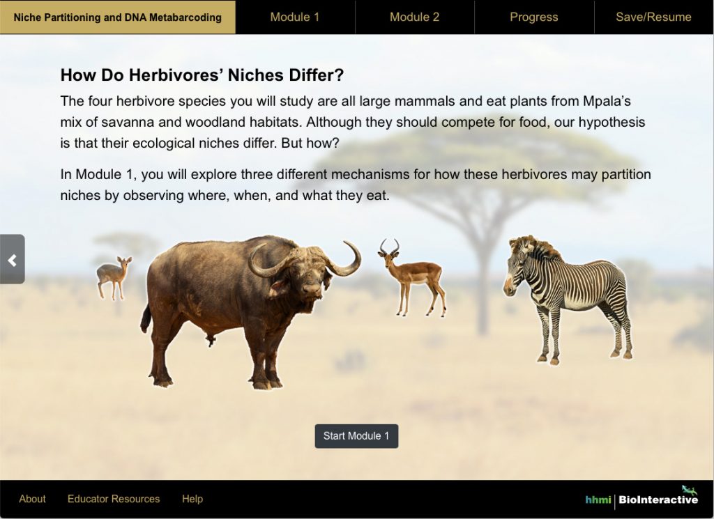 Niche Partitioning And DNA Metabarcoding Astronaut 3 Media Group