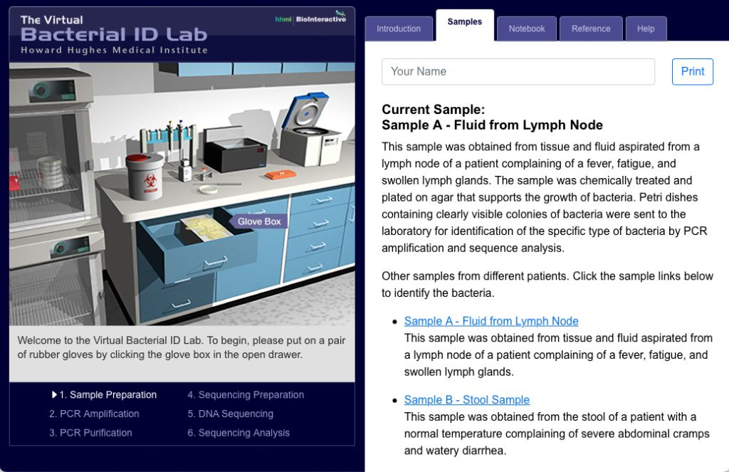 Bacterial ID Virtual Lab screenshot