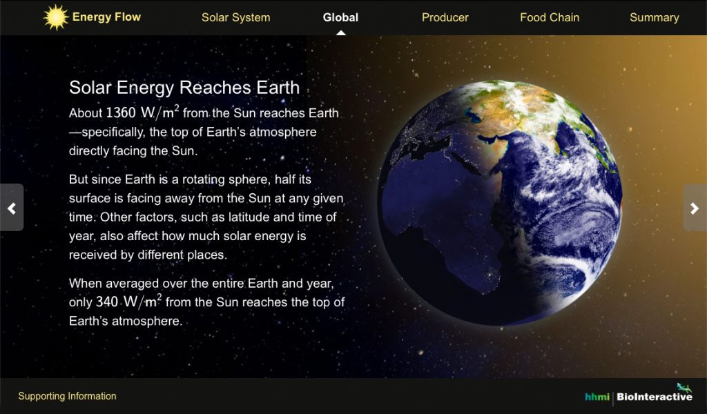 Energy Flow Screen Shot 1