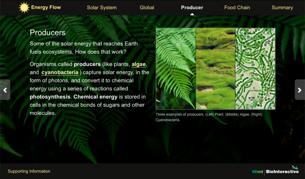 Energy Flow Screen Shot 2