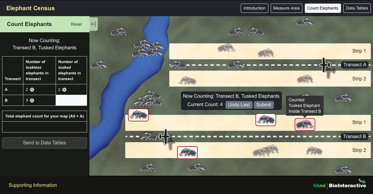 Screenshot of the Elephant Census interactive showing the Count Elephants tool tab.