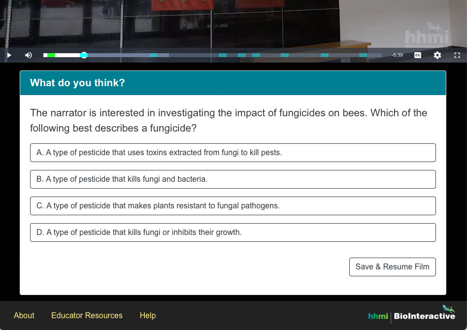 Screenshot of the Interactive Video quiz panel titled: What do you think?