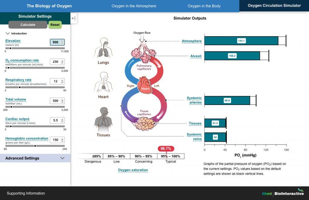 Screenshot of the Biology of Oxygen interface showing the oxygen circulation simulator settings and output graphs